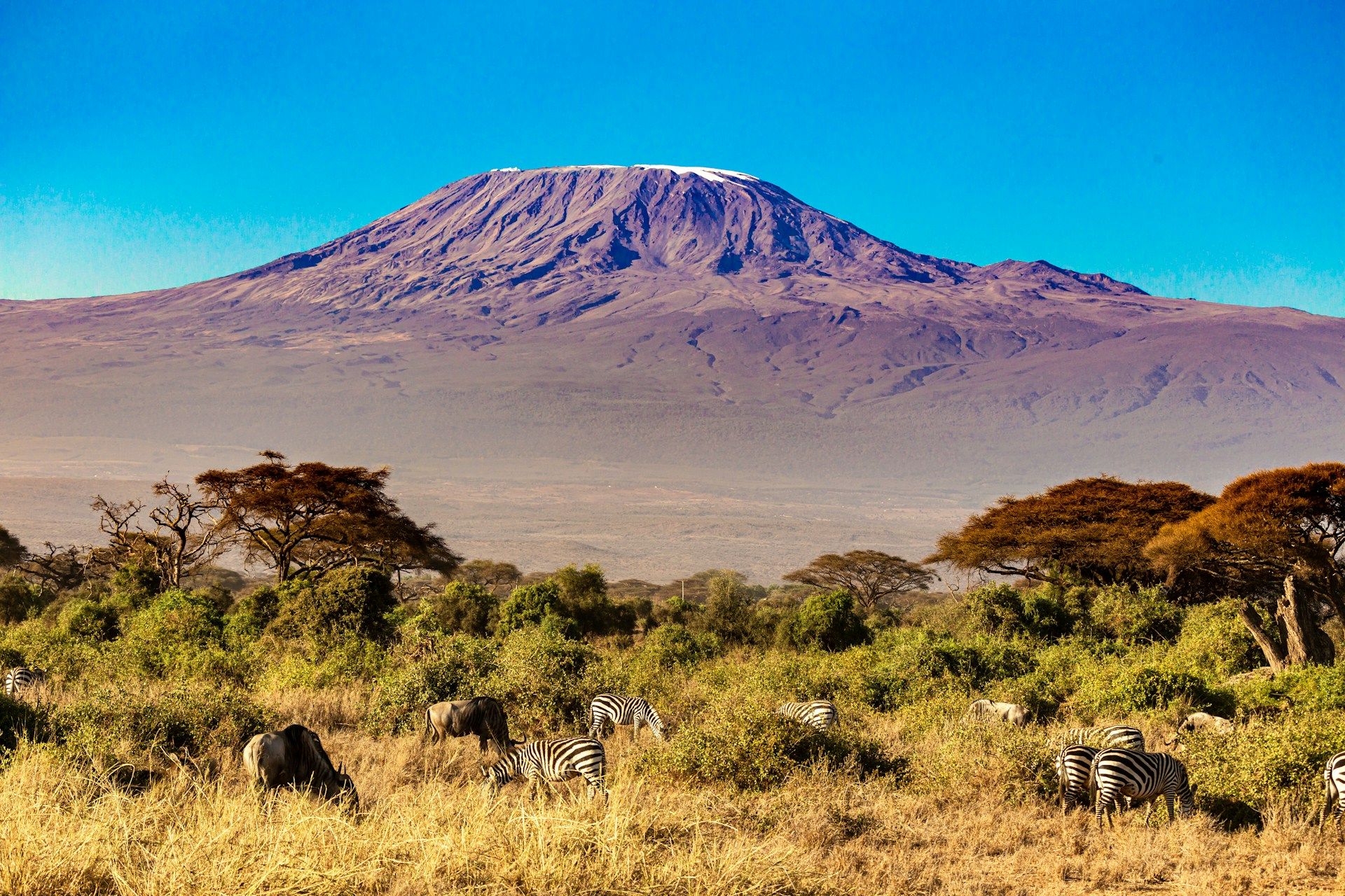 Mount Kilimanjaro